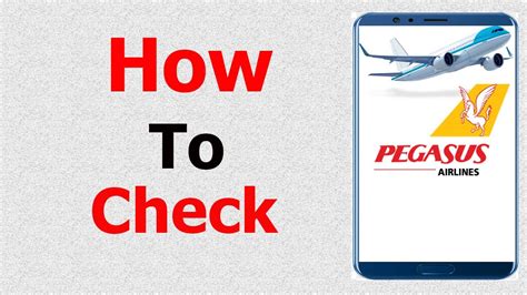 Pegasus online check in